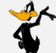 daffy