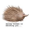 Spiney Norman