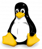 NogintheNog