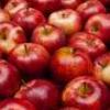 apples